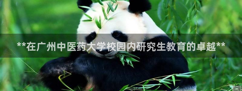 九游会倒闭