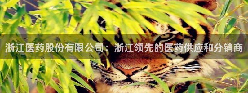 九游会ag亚洲