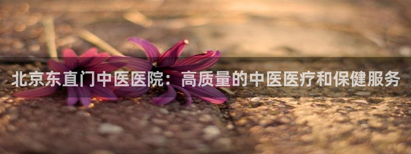 九游j9国际站