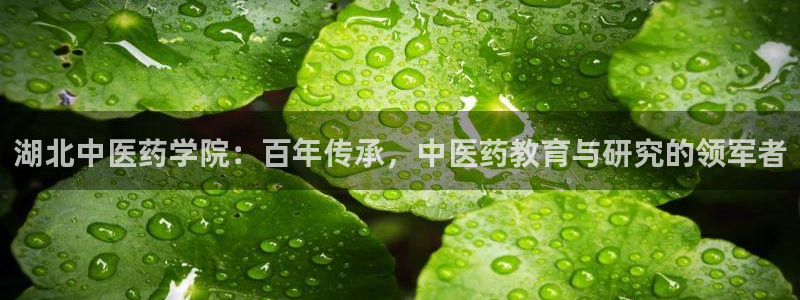 九游会线上平台