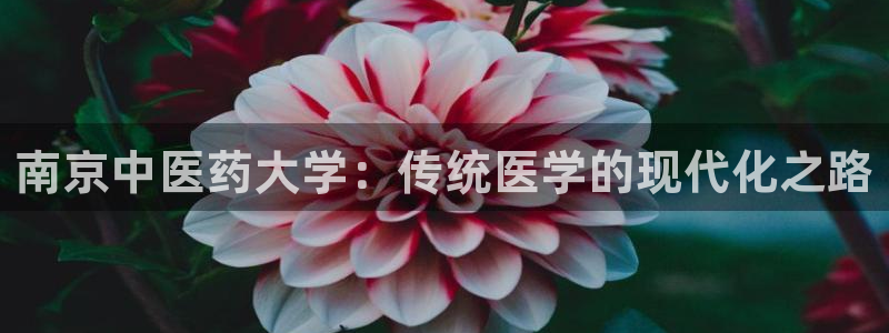 九游会是干嘛的软件