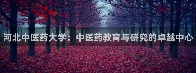j9九游会黑网
