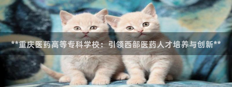 9游会app下载