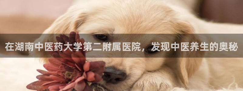 usdt九游会老哥俱乐部