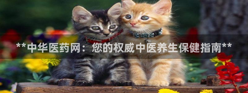 九游会ag真人官网|九游真人