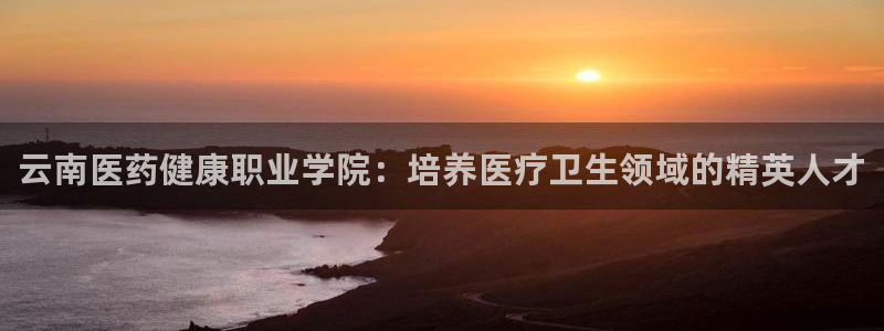 ag改名九游会