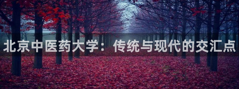 九游会官方网站登录