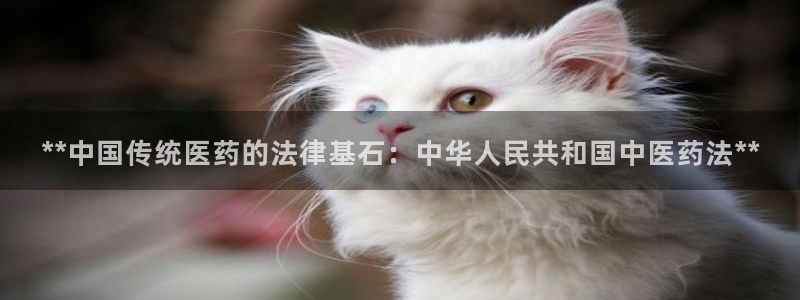 九游会最新网站