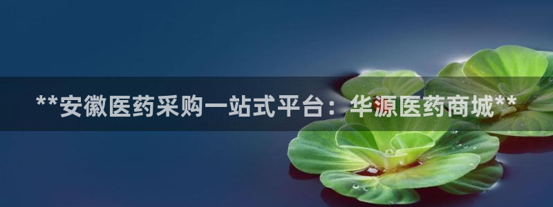 九游j9