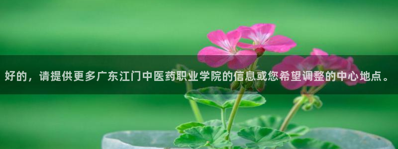 j9九游会app下载