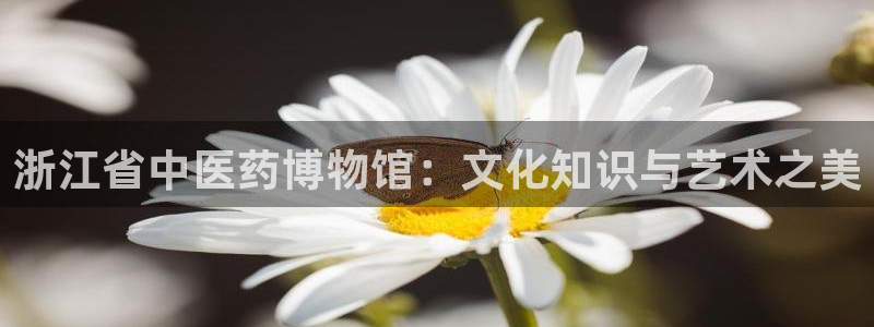 九游会ag网址大全专 