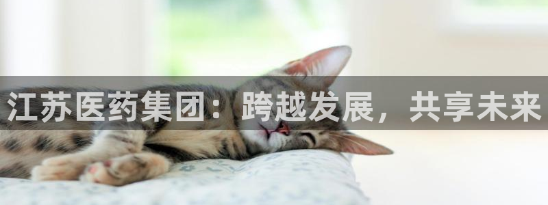 九游会是ag吗