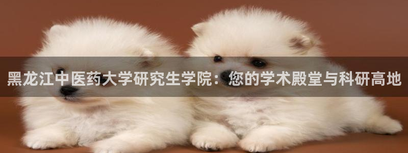 j9九游会网址是什么