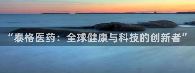 九游会中国入口