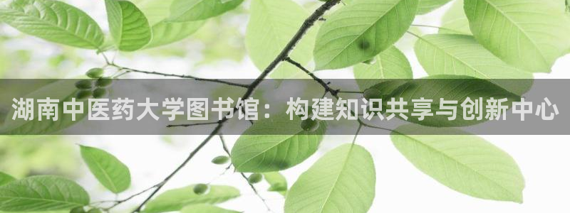 九游会登陆中心