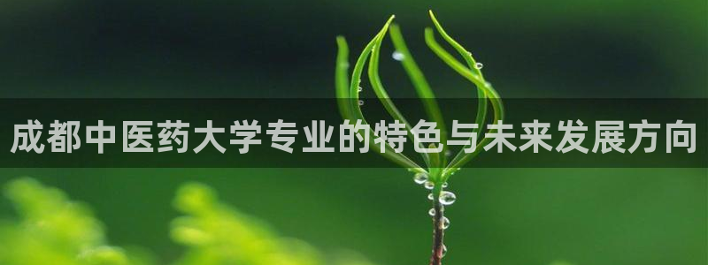 九游会平台王一博泰国