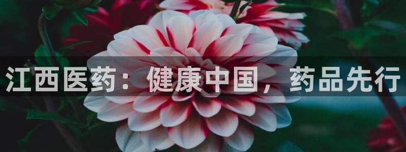 ag九游老哥俱乐部