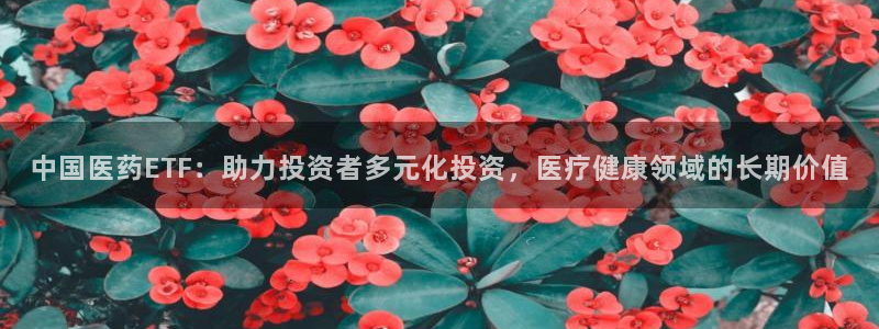 九游会网址最新