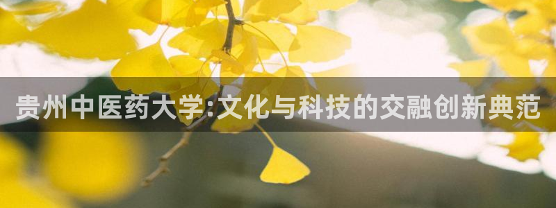 九游会官网ag旧版