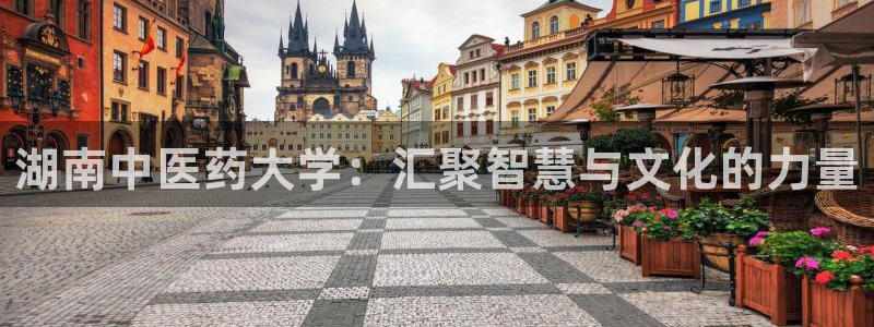 九游会网址大全