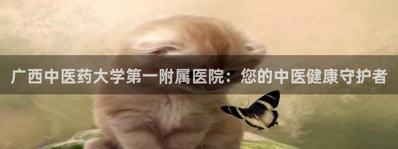 九游会登录网站吗