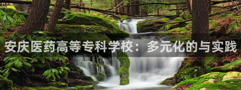 九游会官网平台