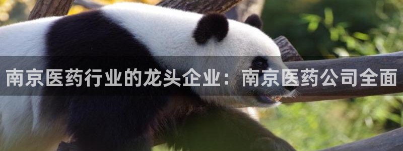 九游会官网入口ag亚洲