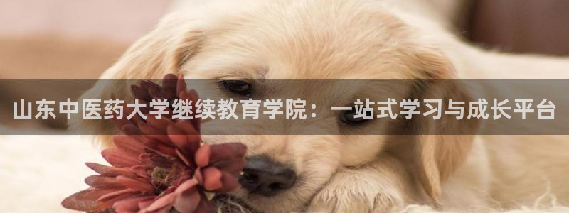 九游会官网首页